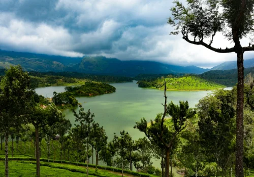 travel guide to wayanad