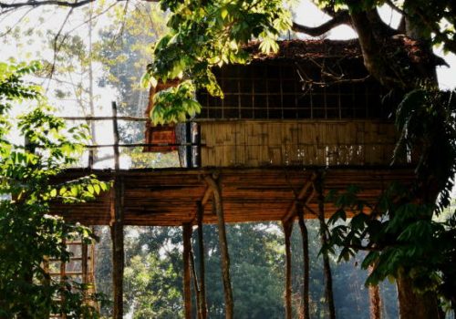 treehouse