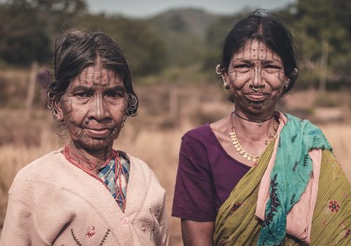 tribal-tiger-reserve