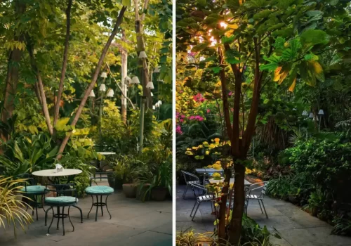 wild garden cafe